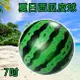 仿西瓜球 充氣式 西瓜球 (6吋15cm) 海灘球 充氣球 橡膠球 沙灘排球 小皮球 (1.2折)
