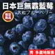 【綠之果物 現貨】藍莓 日本藍莓 岩手縣藍莓 寶石藍莓 精品級藍莓 鮮採藍莓 日本空運直送 黑貓冷藏宅配 滿額免運