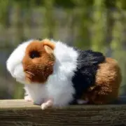 Stuffed Guinea Pig Animal Toy, 7.87inch Tricolor Cute Realistic Plush Guinea Pig