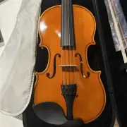 Eastman Svl80 Set 1/4 Violin Beginner For Children, Height 115 125Cm Supervised