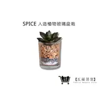 在飛比找蝦皮商城優惠-【SPICE】人造綠色植物-玻璃盆栽 多肉人造植物 免打理綠