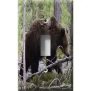 SnazzySwitch Roaming Bear Decorative Light Switch Plate Cover
