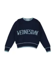 [ALBERTA FERRETTI] ALBERTA FERRETTI Sweaters - Item 39999451