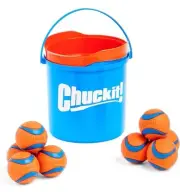 Chuckit! Ultra Ball Dog Toy with Chuckit! Cleaning Bucket Bundle (M)