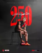 BIG 420mm ESSENDON BOMBERS FOOTBALL TEAM PLAYER poster,BARGAIN,1