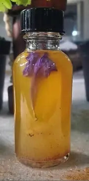 Cleopatra Exotic Conjure Oil- Invites Sensual & Sexual Encounters into Your Life