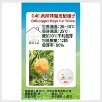 在飛比找PChome24h購物優惠-G40.黃辣妹魔鬼椒種子