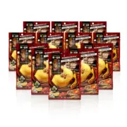 12x Togi 100% Premium Ginseng Soup Spices 35g. Soup Base. Nourishes Body & Blood