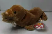TY Beanie Babies Paul The Walrus 1999 Mint W/Tag