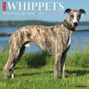 2025 Whippets Wall Calendar
