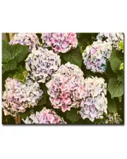 Ready2HangArt Where I Stood Wrapped Canvas Wall Art by Joelle Joy