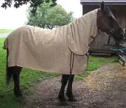 Horse McAlister Combo Cotton Sheet w/ Neck & Leg Straps Beige Plaid 66" 68" 72"
