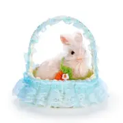 Simulation Artificial Rabbit Dolls Toy Support Sensory Learning For Little Child