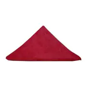 Cleanlink Microfibre Cleaning Cloth Red