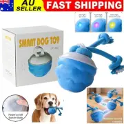 Power Tail 2.0 Dog Toy Powertail Moving Dog With Motion Activated Interactive