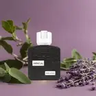 Lattafa RAMZ LATTAFA SILVER Eue De Perfum 100ML 3.4oz Perfumes Unisex Fragrance