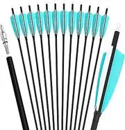 ZSHJGJR 30 Inch Archery Carbon Arrows Hunting Arrows with 4” Turkey Feather Targeting Practice Arrows Spine 500 for Compound & Recurve & Traditional Bow 6/12pcs