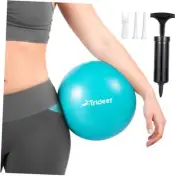 Pilates Ball 9 Inch with Pump,Core Ball, Mini Pilates Ball for Physical Turkis