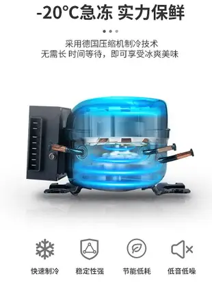 冰虎壓縮機冷凍車載冰箱貨車12v24v220v110v冷凍冷藏結冰迷你-泡芙吃奶油