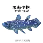 奇譚俱樂部正版 NTC立體圖鑑深海生物矛尾魚皇帶魚扭蛋擺件收藏