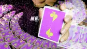 Brand New SEALED Jaspas Eggplant Playing Cards Deck by NDO New Deck Order