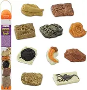 Safari Ltd Ancient Fossils TOOB with 10 Toy Figurines Including Dino Footprint, Giant Crab, Ammonite, Raptor Claw, Fossilized Frog, Trilobite, T-Rex Tooth, Fossilized Fish, Dino Skin, and Sea Scorpion