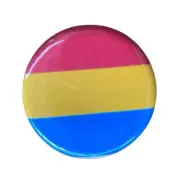 Pansexual Queer Pin Badge / Button - LGBTQ Pride