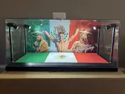 Yair Rodriguez Ball Custom 2-card PSA & BGS display case with LED lights - UFC