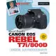 David Busch’s Canon EOS Rebel T7i/800d Guide to Digital Slr Photography