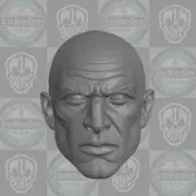 Generic male custom head for Mythic Legions & other action figures