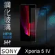 HH 鋼化玻璃保護貼系列 SONY Xperia 5 IV (6.1吋)(全滿版)