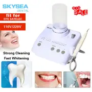 Dental Ultrasonic Piezo Scaler scaling Fit DTE SATELEC tips Handpiece 2 Bottle