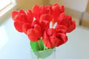 A BOUQUET OF HANDMADE CREPE PAPER TULIPS - RED