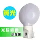 朝日光電光控感應LED黃光瓢蟲小夜燈