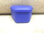 Denture Bath Royal Blue Box Mouth Guard Dental Storage Container