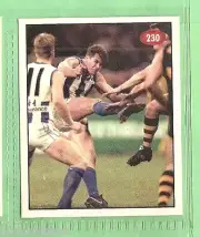 1996 AFL SELECT STICKER #230 KANGAROOS, 1995 FINALS SERIES HIGHLIGHTS