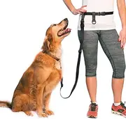Adjustable Hands Free Dog Leash, Great Leash for Running, Jogging and Training Made in USA by The Buddy System, Regular, Black
