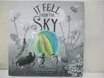 IT FELL FROM THE SKY_ERIC FAN【T1／少年童書_I5L】書寶二手書