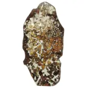 181.8g Brenham pallasite Meteorite slice - from usa QA109