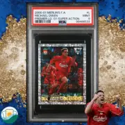 Merlin's F.A. Premier League 2001 | PSA 9 Michael Owen | Super Action | #L