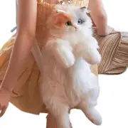 Calico Cat Simulation Plush Cat Backpack Fashion Doll Cat Bag Lifelike Girl Bag