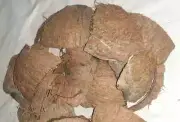 Eco Friendly Coconut Shell Pieces Fiber Charcoal Formative Natural Fast Shipping