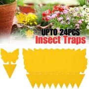 12/24PCS Dual Sided Sticky Trap Insect Killer Whitefly Thrip Fruit Fly Gnat