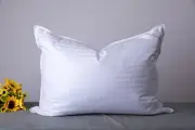 Standard Goose down Feather Hotel Collection Bed Pillows for Sleeping One Pillow
