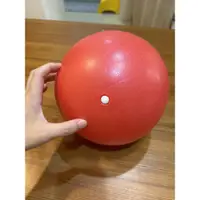 在飛比找蝦皮購物優惠-二手 嬰幼兒 彈力球 瑜伽球 互動小球 軟質球