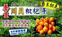 在飛比找Yahoo!奇摩拍賣優惠-台東初鹿養生川貝枇杷干 （潤費養聲聖品）🎊防疫養生伴手禮🎁