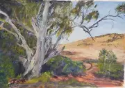 Australian Gum tree original painting in Acrylics