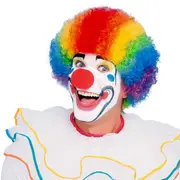 Rainbow Clown Curly Wig - Adult Size