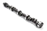 Elgin SBC Oval Track Cam E-1091-P
