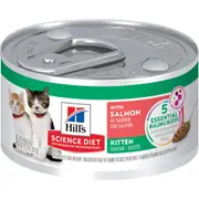 Hill's Science Diet Kitten with Salmon Canned Wet Cat Food 82g 82g
